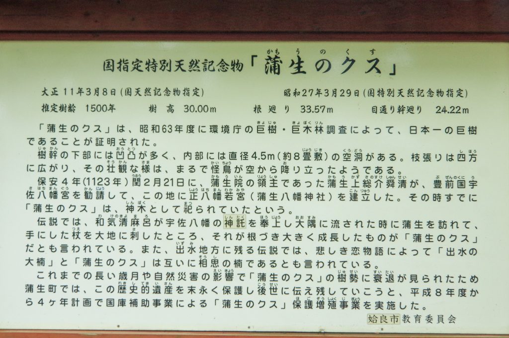 蒲生のクス案内板