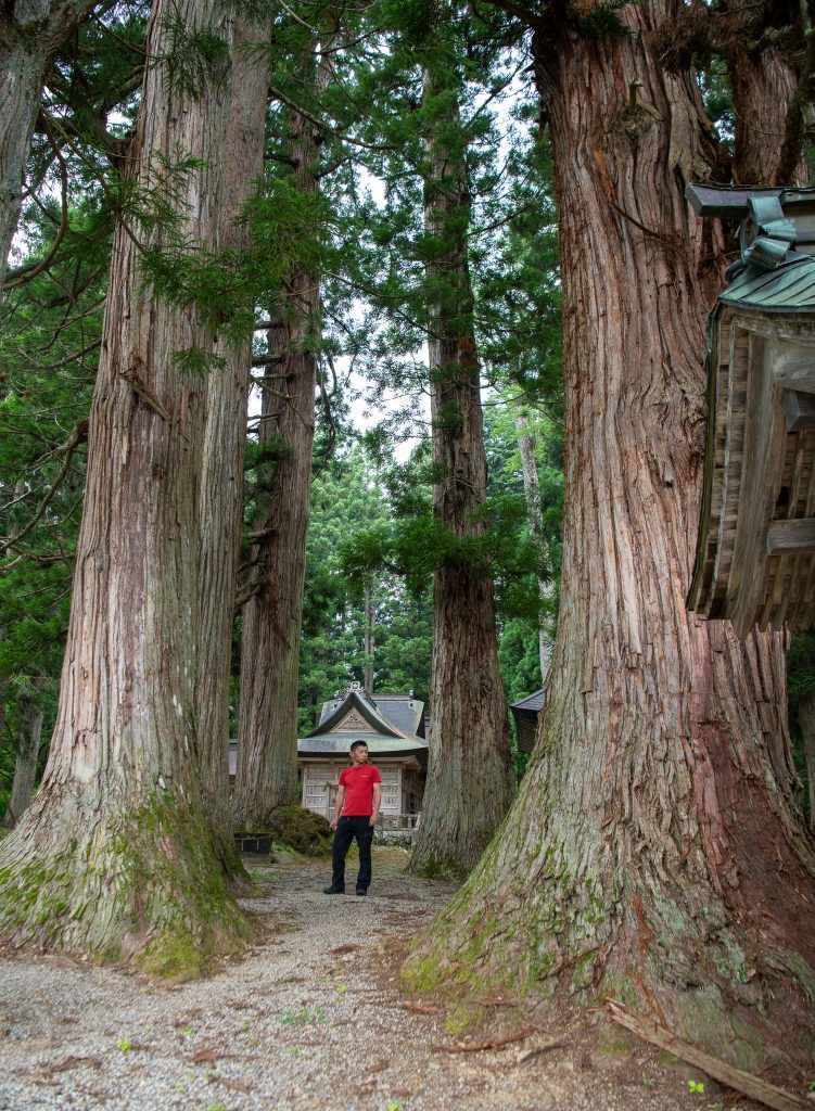 嶺方諏訪社の老杉群