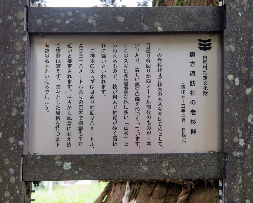 嶺方諏訪社の老杉案内板
