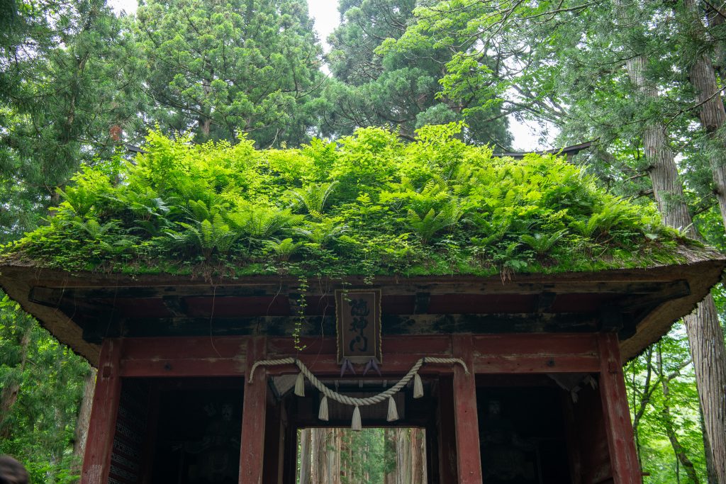 戸隠神社 奥社参道 随神門