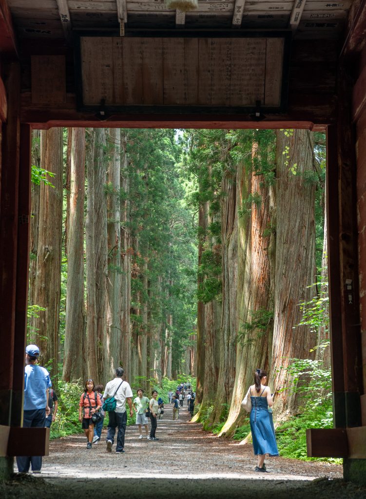 戸隠神社 奥社参道 杉並木