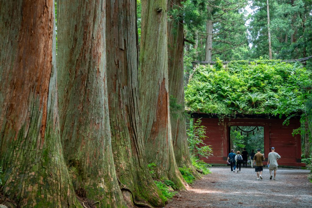 戸隠神社 奥社参道 随神門