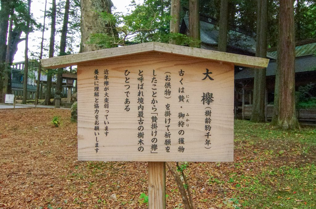 贄掛の大欅案内板