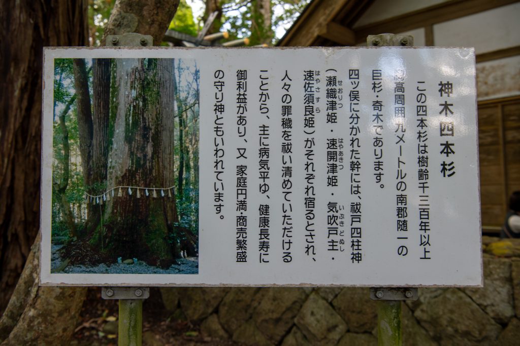 飛鳥神社の四本杉案内板