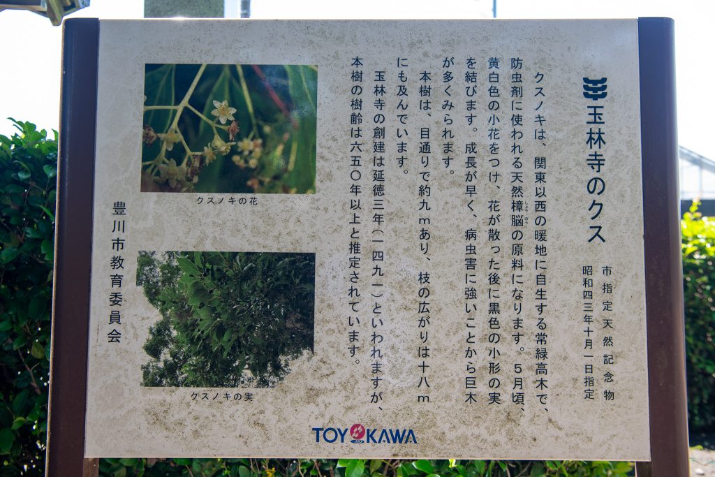 玉林寺のクス案内板