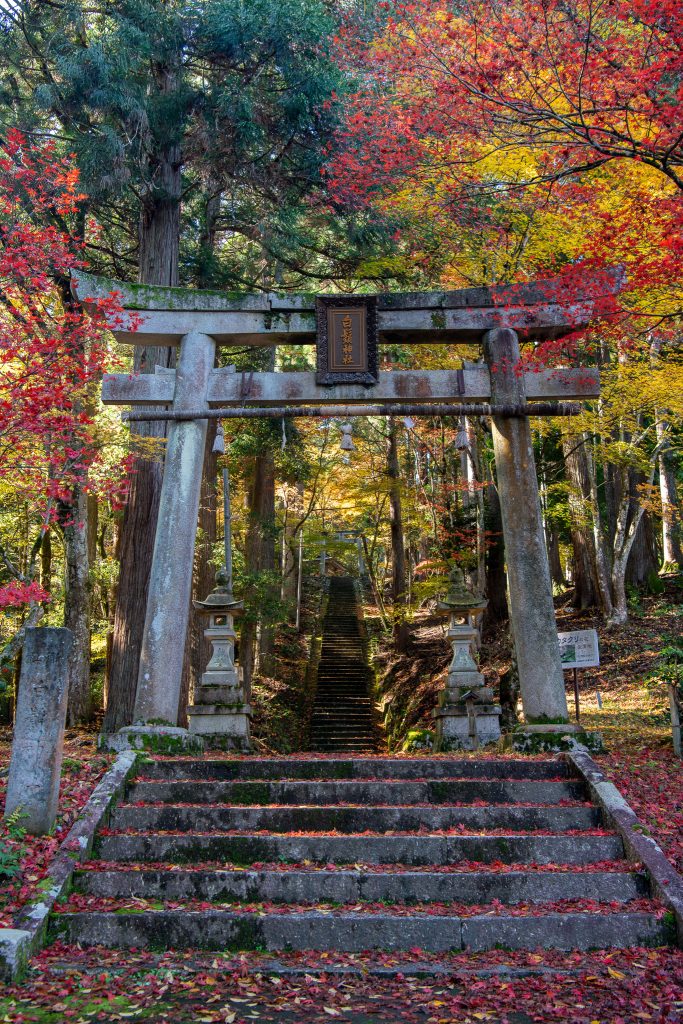 白鬚神社の鳥居