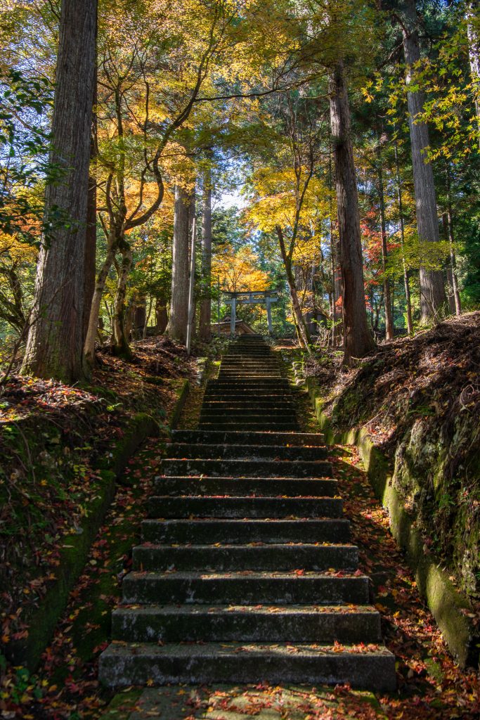白鬚神社の参道
