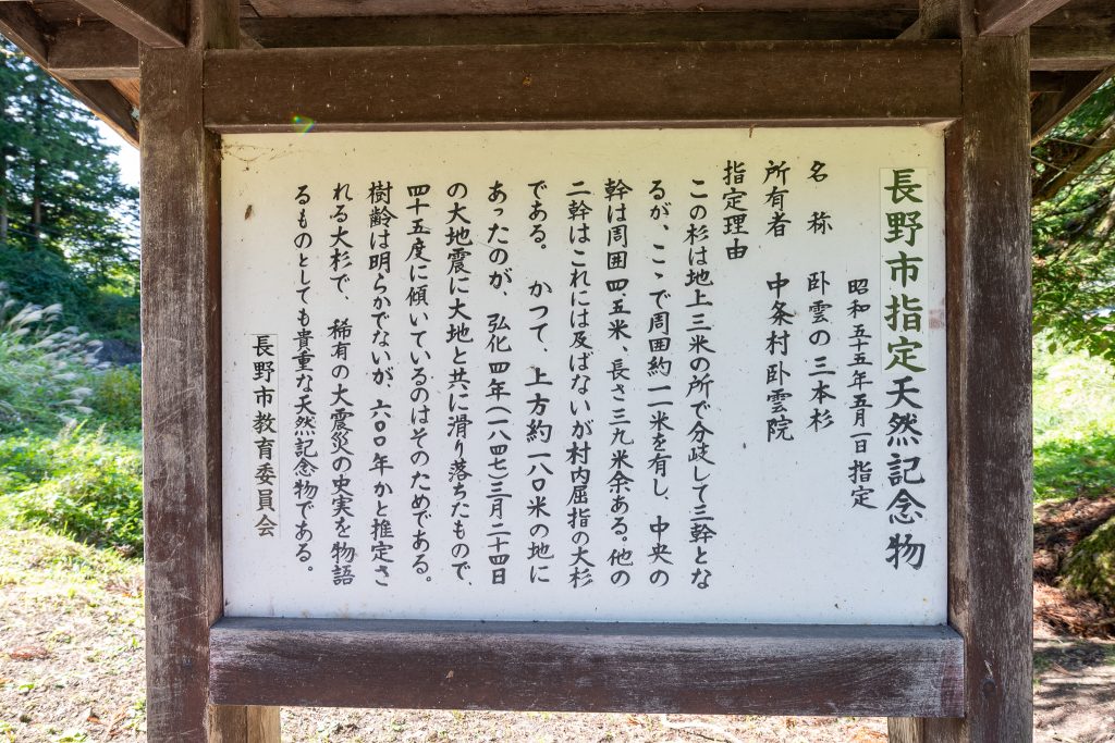 臥雲の三本杉案内板