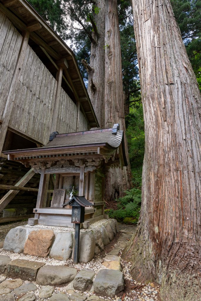 白山中居神社の杉群