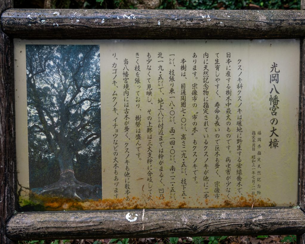 光岡八幡宮の大樟案内板