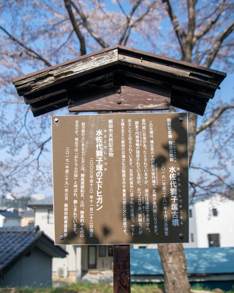 水佐代獅子塚のエドヒガン案内板