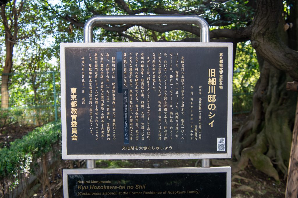 旧細川邸のシイ案内板