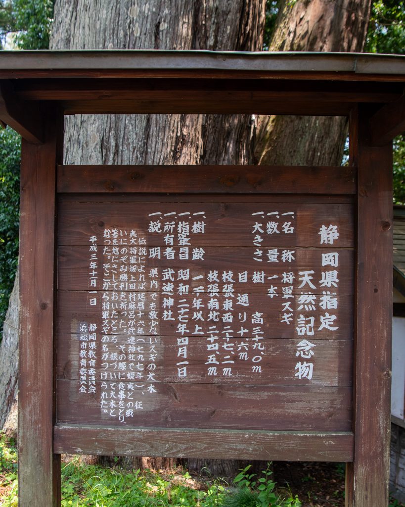 将軍杉