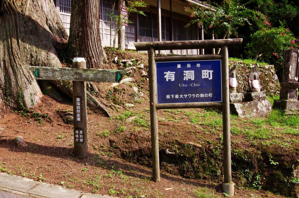 有洞のサワラ