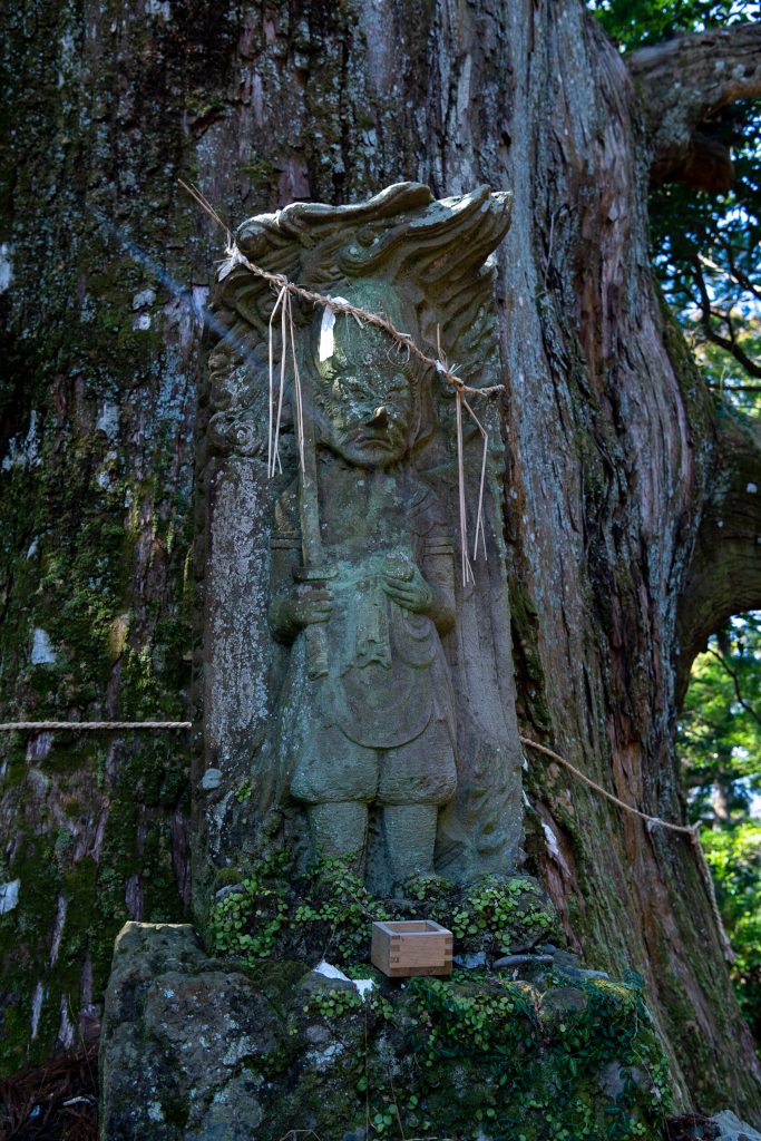 雷杉（かみなりすぎ）