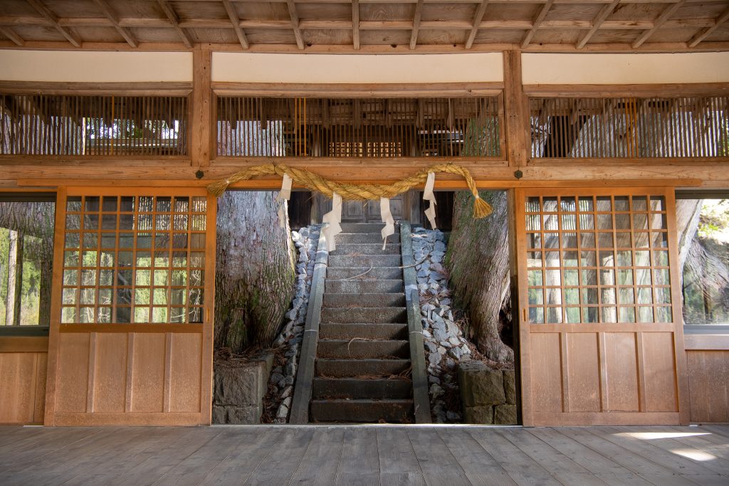 大間見白山神社の大スギ