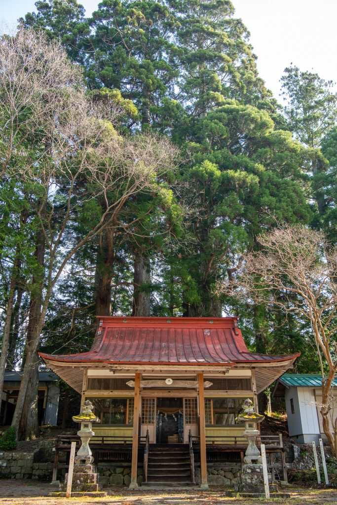 大間見白山神社の大スギ