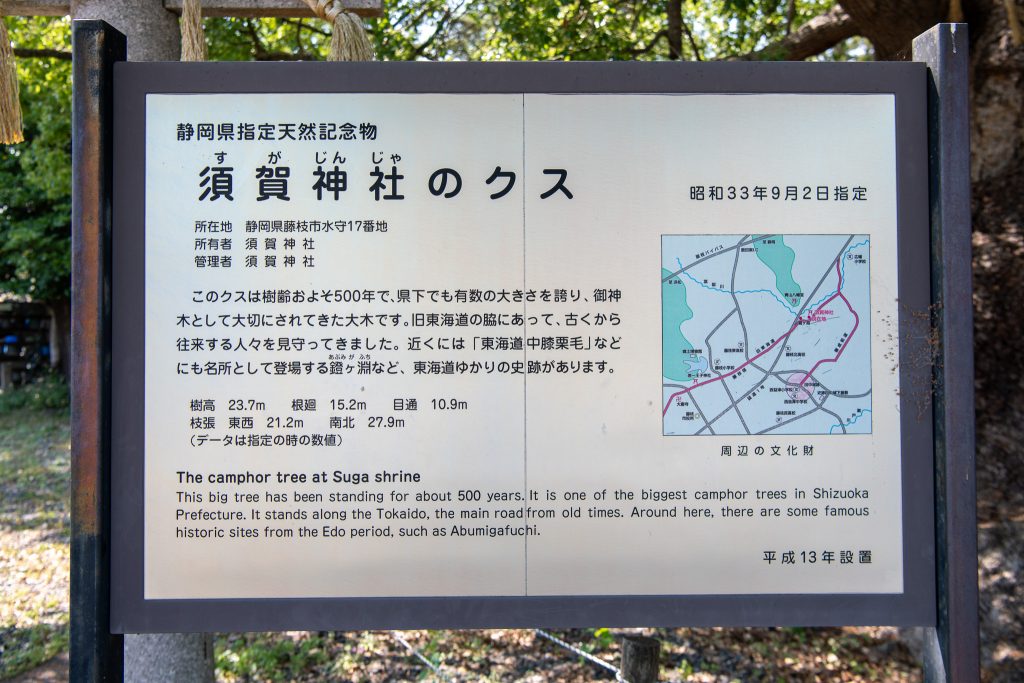 須賀神社のクス案内板