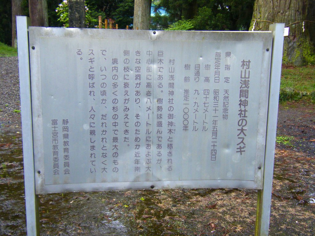 村山浅間神社の大杉案内板